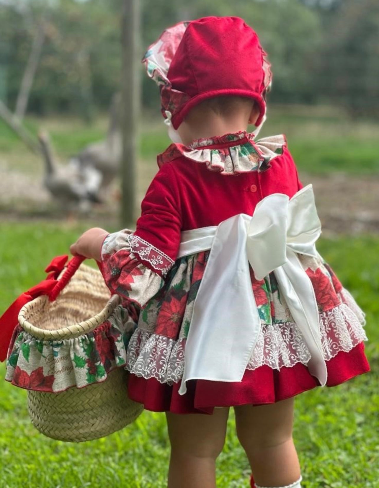 Christmas Poinsettia dress