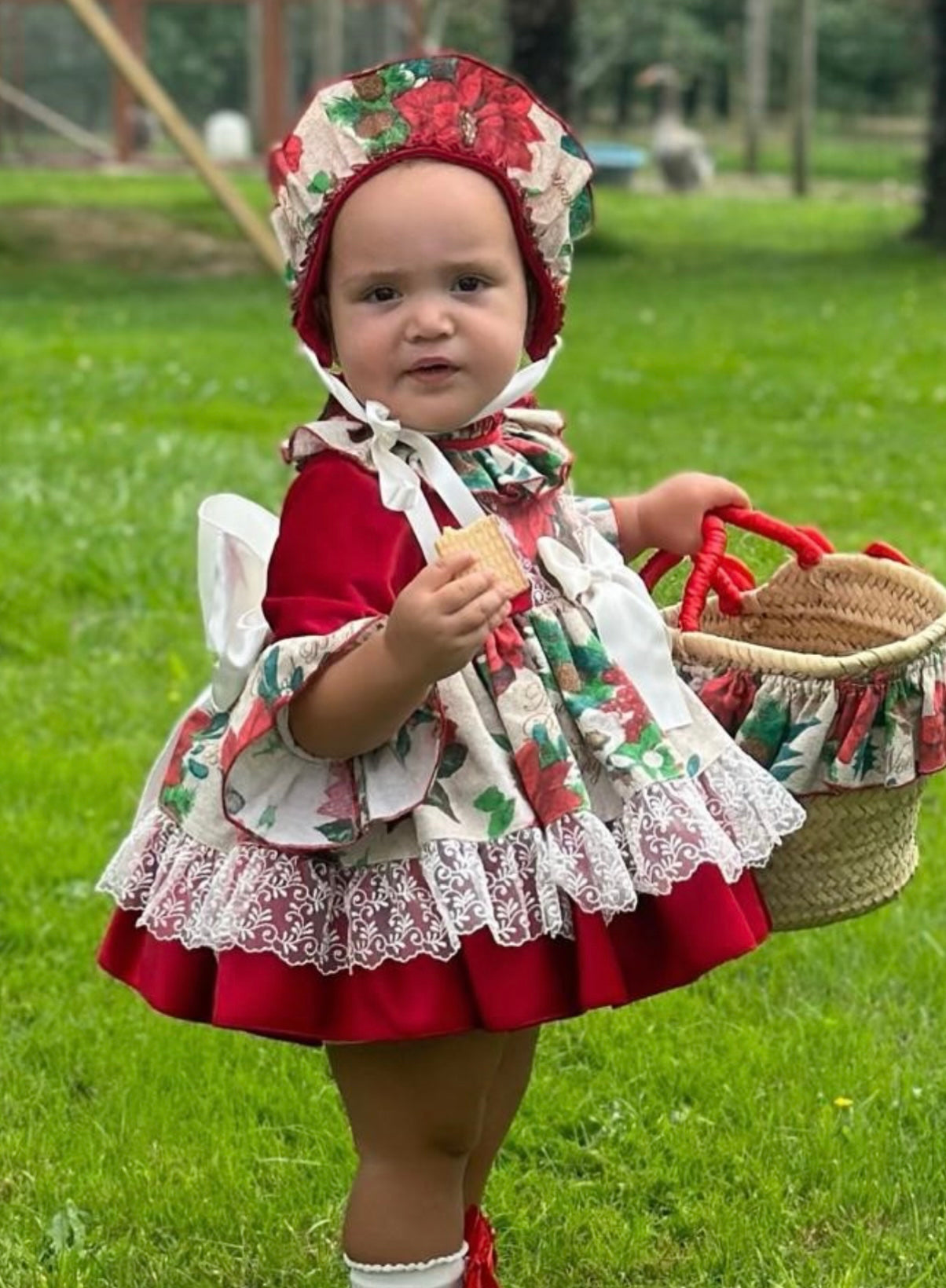 Christmas Poinsettia dress