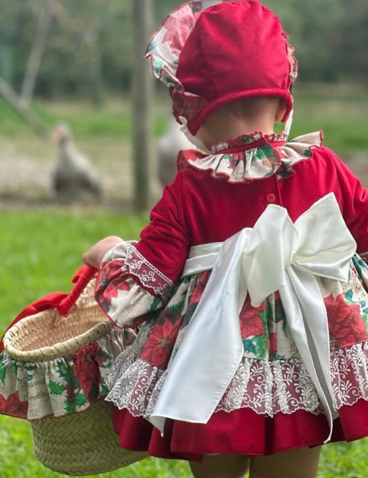Christmas Poinsettia dress