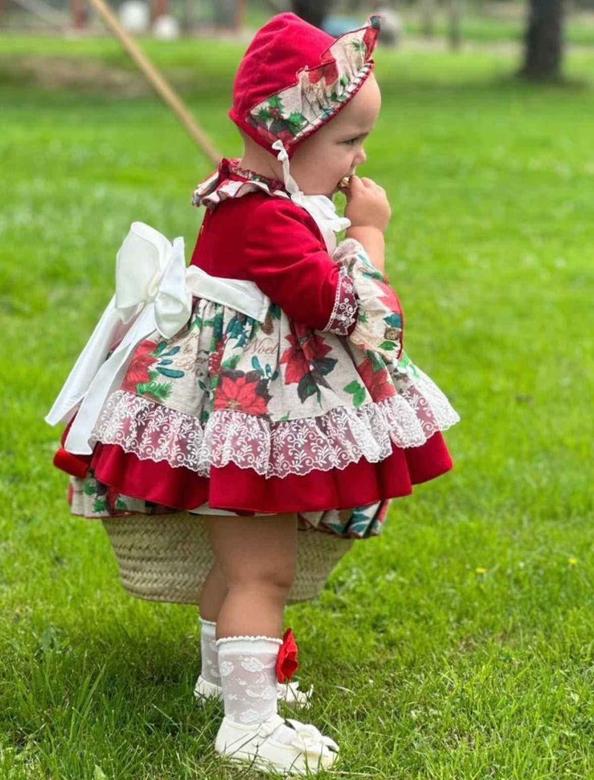 Christmas Poinsettia dress